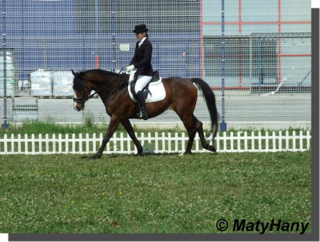 Drezurní závody Prostějov 21.6.2009